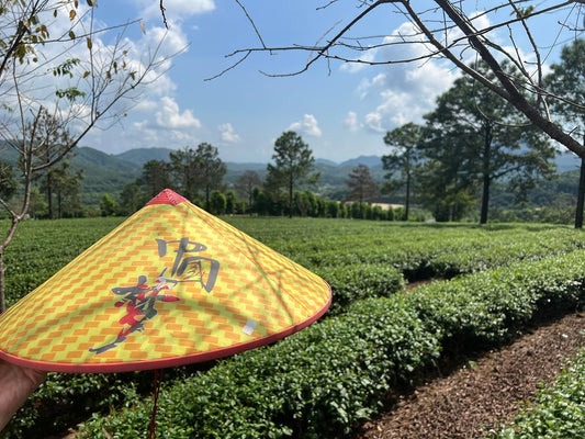 The Difference Between Chinese Brand Tea and Locally Produced Farmer Tea