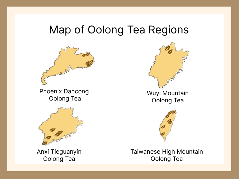 Map of Oolong Tea Regions – Chinese Tea Group