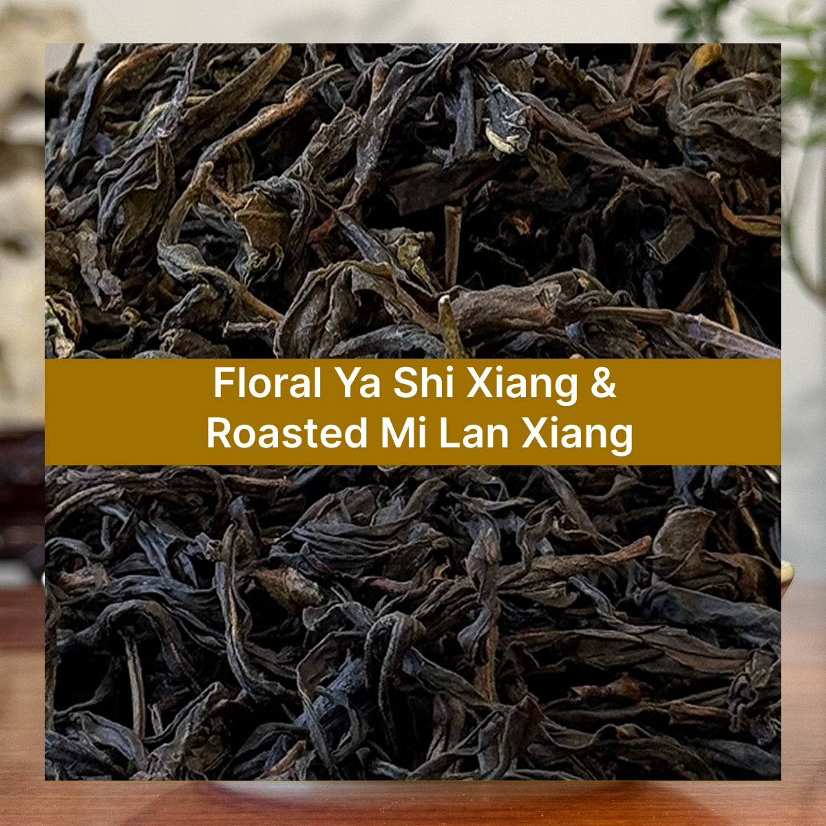 Dancong Oolong Tea Sampler – Ya Shi Xiang & Mi Lan Xiang
