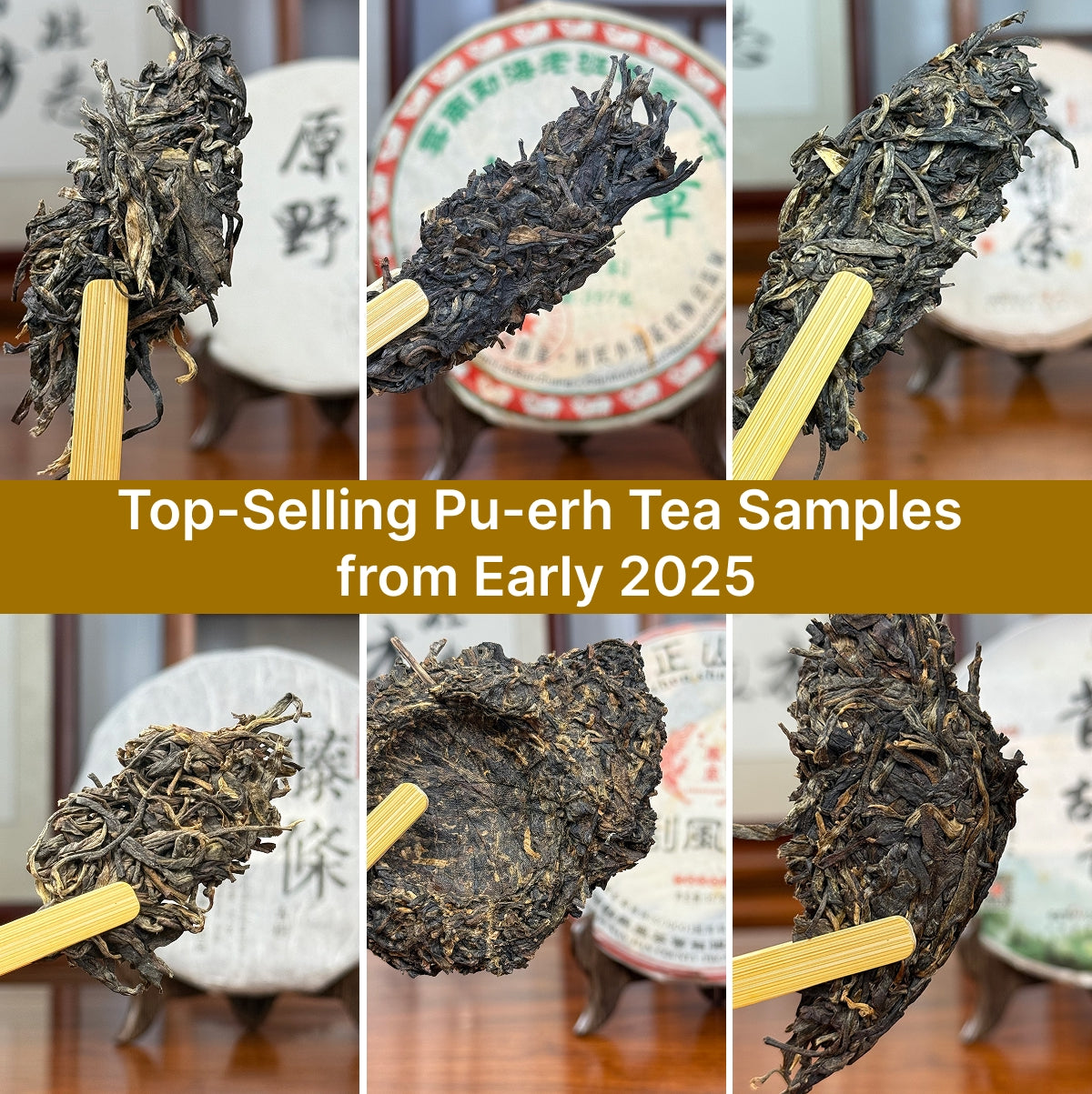Bestselling Pu-erh Tea Cake Sampler Set by Chinese Tea Group