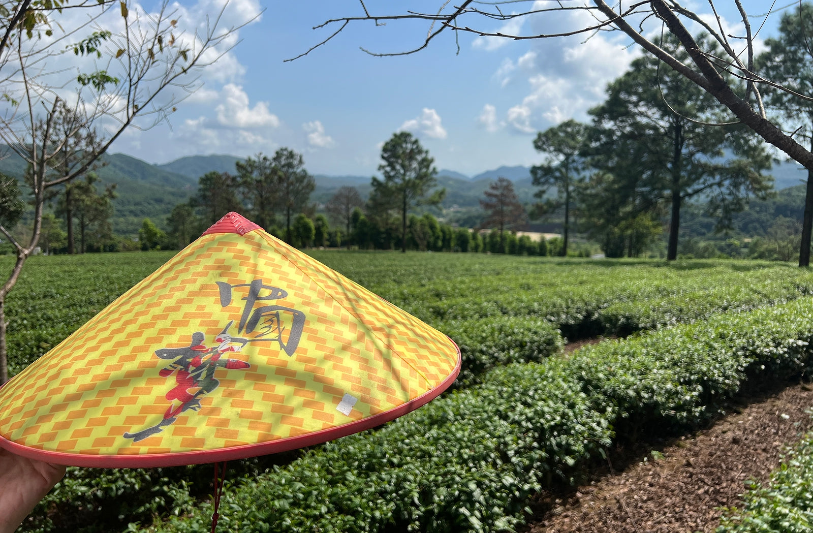 Tea Farmer Wearing Straw Hat – Chinese Tea Group Tea Mountains