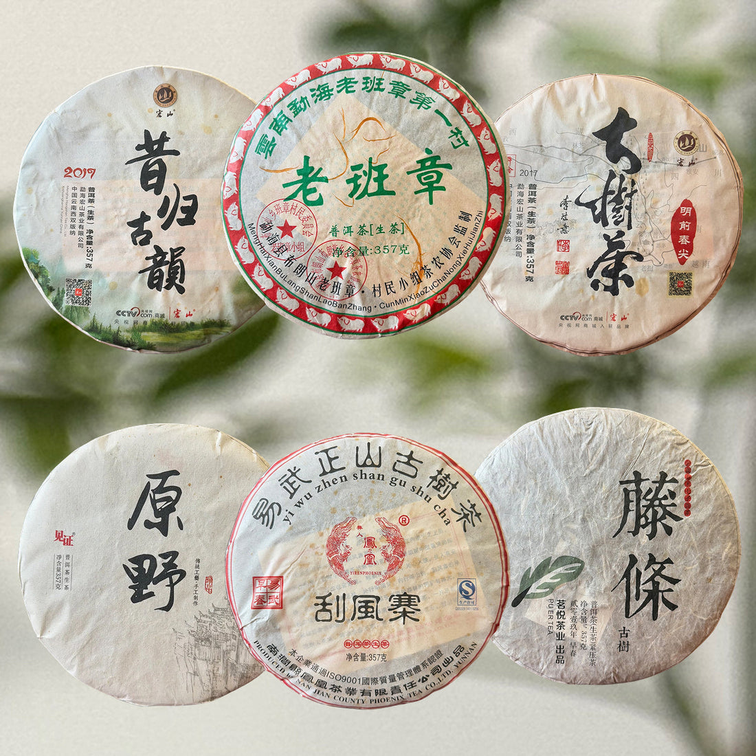 Pu-erh tea cake in Chinese Tea Group traditional tea room