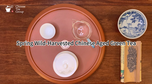 Introduction to Gongfu Tea Brewing and Chinese Green Tea