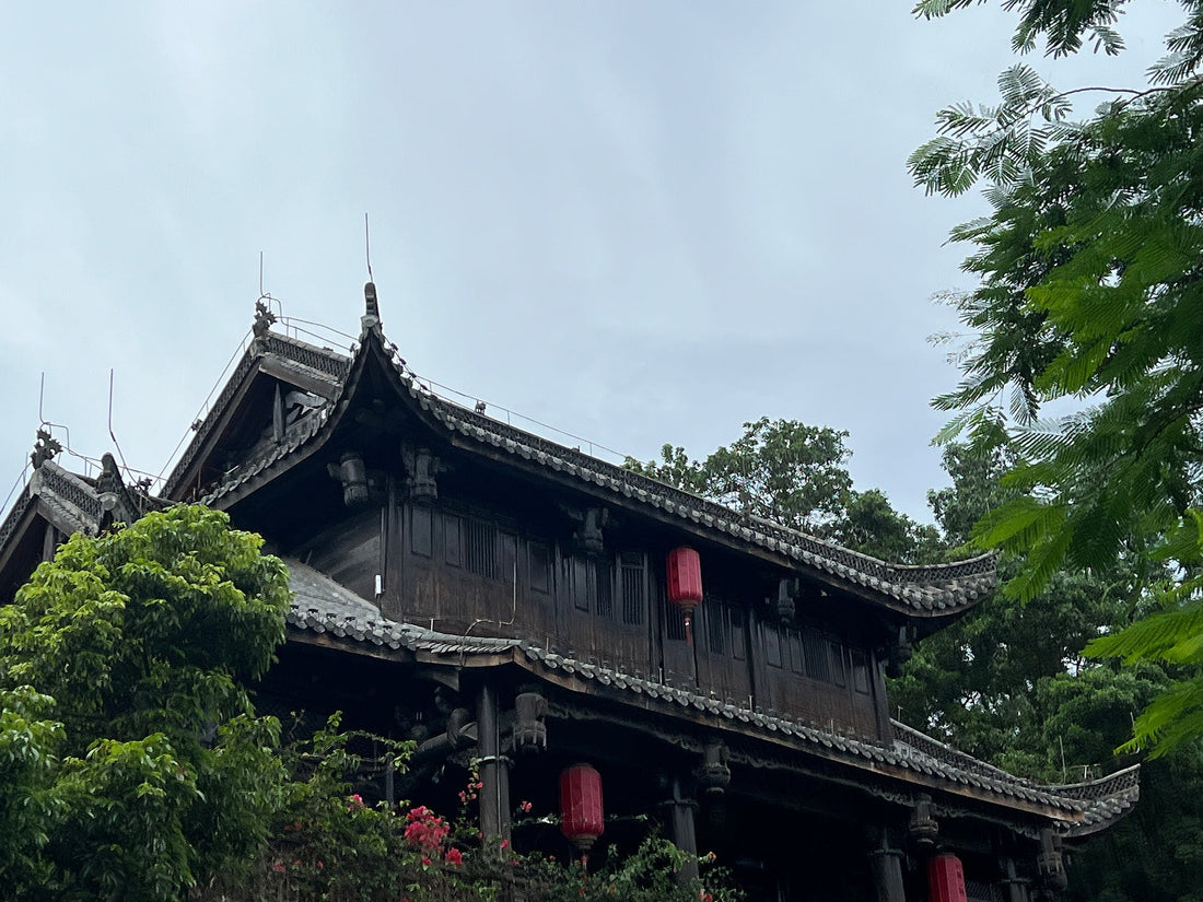 Chinese Tea Group – Buying Chinese Tea Online