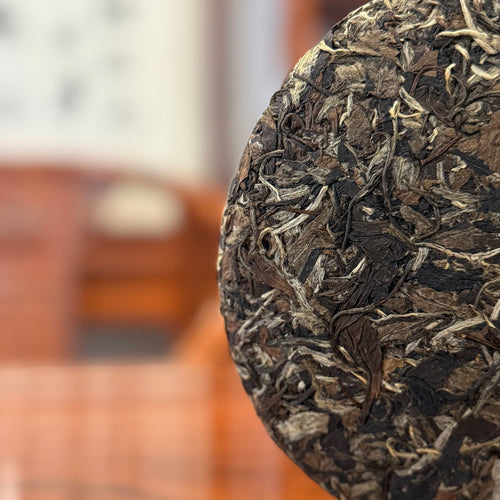 Close-Up of 2010 Fuding White Peony (Bai Mu Dan) White Tea Cake Leaves