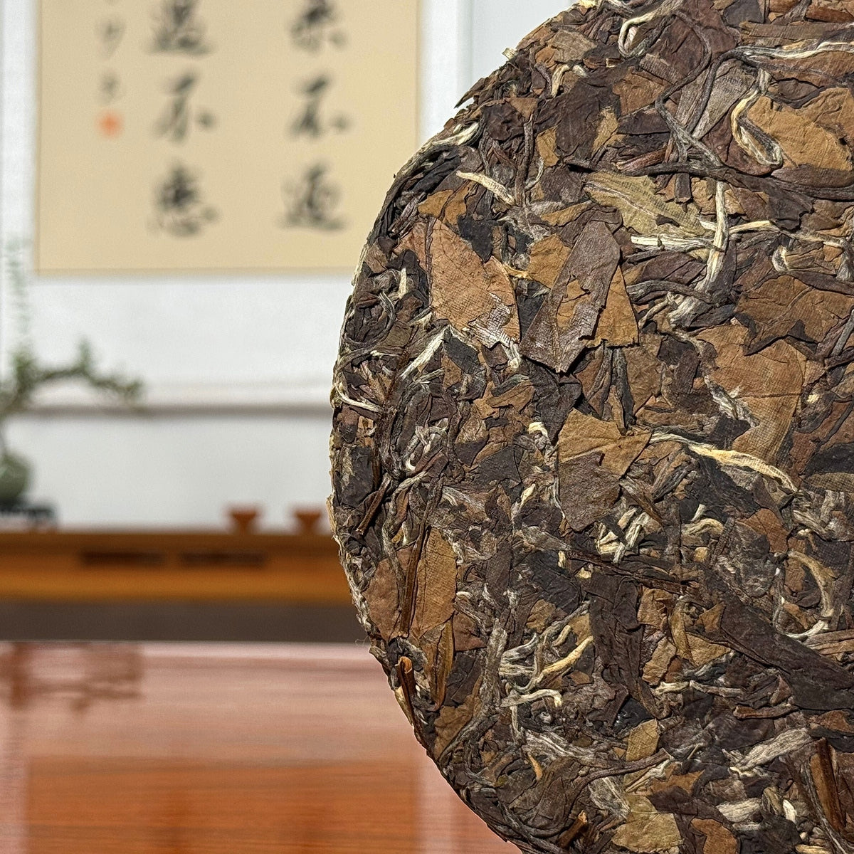 Close-up of aged leaves from 2015 Fuding Gong Mei White Tea Cake (Tribute Eyebrow)
