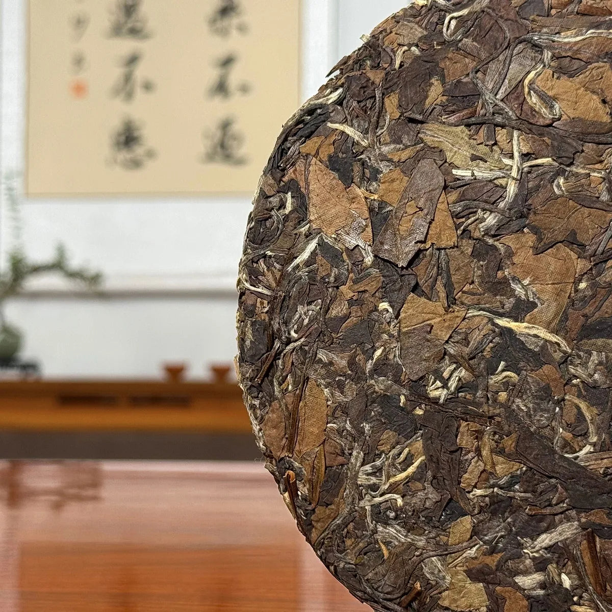 Close-up of aged leaves from 2015 Fuding Gong Mei White Tea Cake (Tribute Eyebrow)