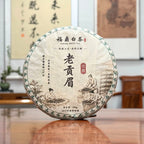 Packaging of 2015 Fuding Gong Mei White Tea Cake (Tribute Eyebrow) displayed in a Fujian white tea store