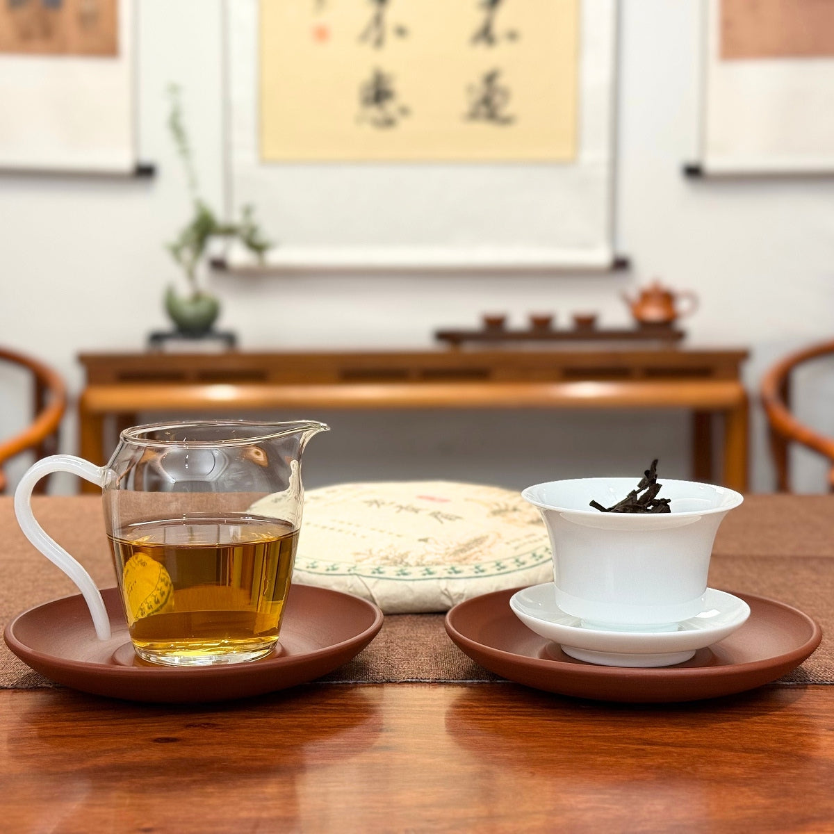 2015 Fuding Gong Mei White Tea Cake (Tribute Eyebrow) with brewed Chinese white tea liquor