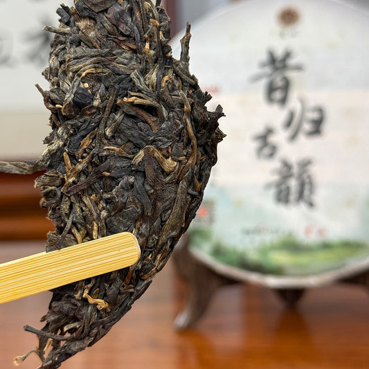 2017 Xigui 'Gu Yun' Raw (Sheng) Pu'er Tea Cake Sample - Flaked