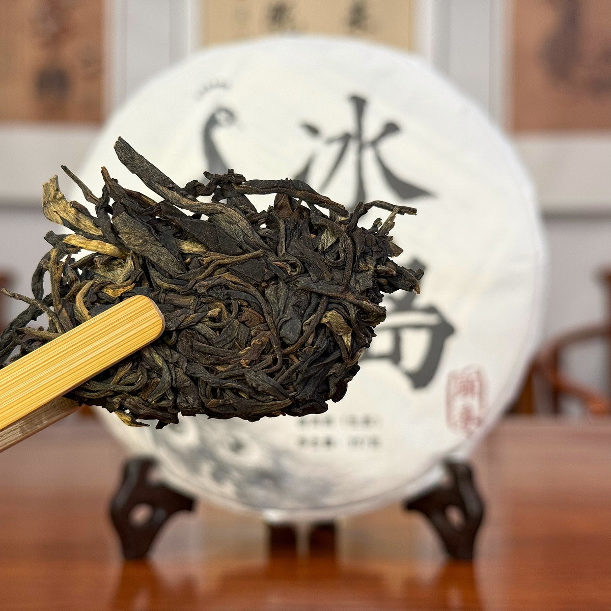 2018 Bing Dao Ancient Tree Raw Pu'er Tea Cake sample hand-pried from the original cake for tasting authentic ancient-tree tea