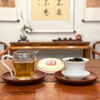 2019 Fujian Aged White Tea Cake with brewed tea liquor and aged white tea cake