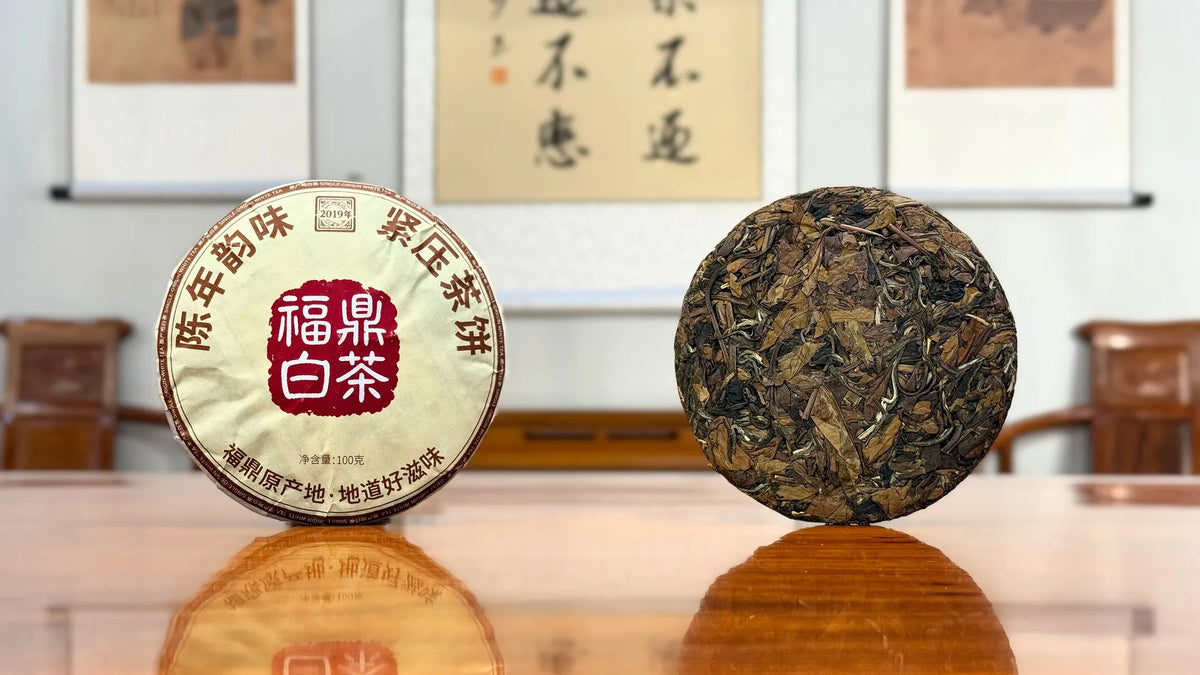 2019 Fujian Aged White Tea Cake displayed in a traditional Chinese tea room