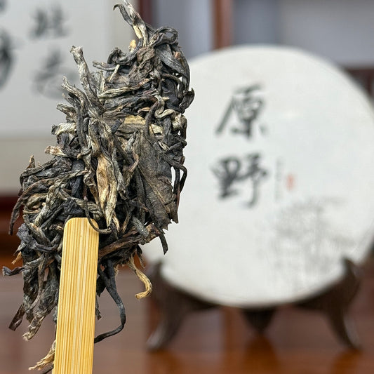 2019 Wilds Raw Pu-erh Tea Cake Sample - Flaked