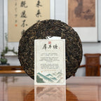 Authenticity certificate inside the 2019 Xi Niu Tang Ancient Tree Raw Pu-erh Tea Cake package