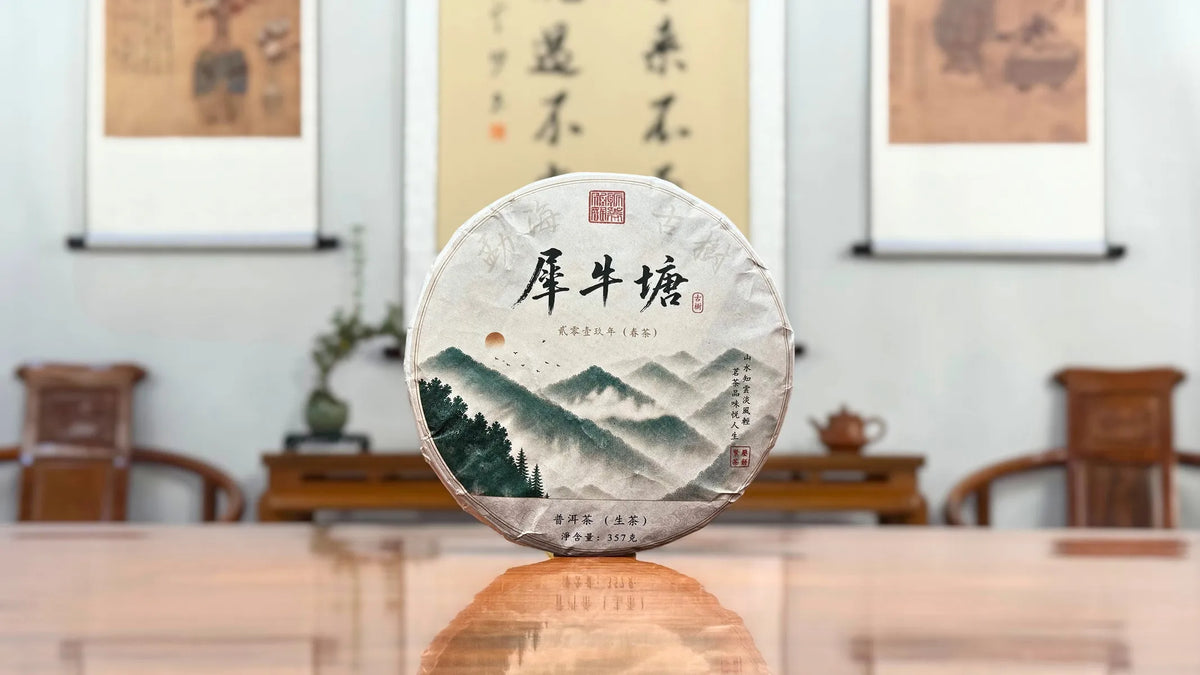 Yunnan Pasha tea origin of the 2019 Xi Niu Tang Ancient Tree Raw Pu-erh Tea Cake