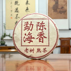 2020 Menghai Ripe Pu-erh Tea Cake (Shou) displayed at Chinese Tea Group tea house