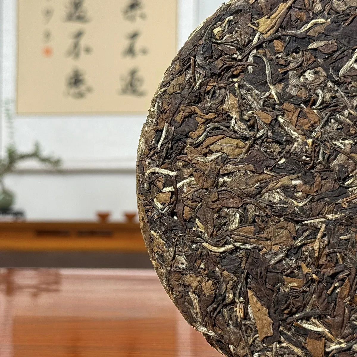 Close-up of dry leaves from 2021 Fuding Bai Mu Dan White Tea Cake (White Peony)