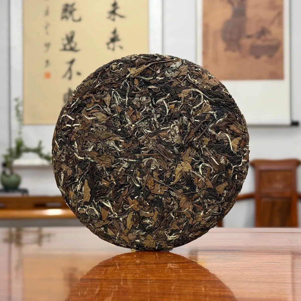 Dry leaves of 2021 Fuding Bai Mu Dan White Tea Cake (White Peony) white tea