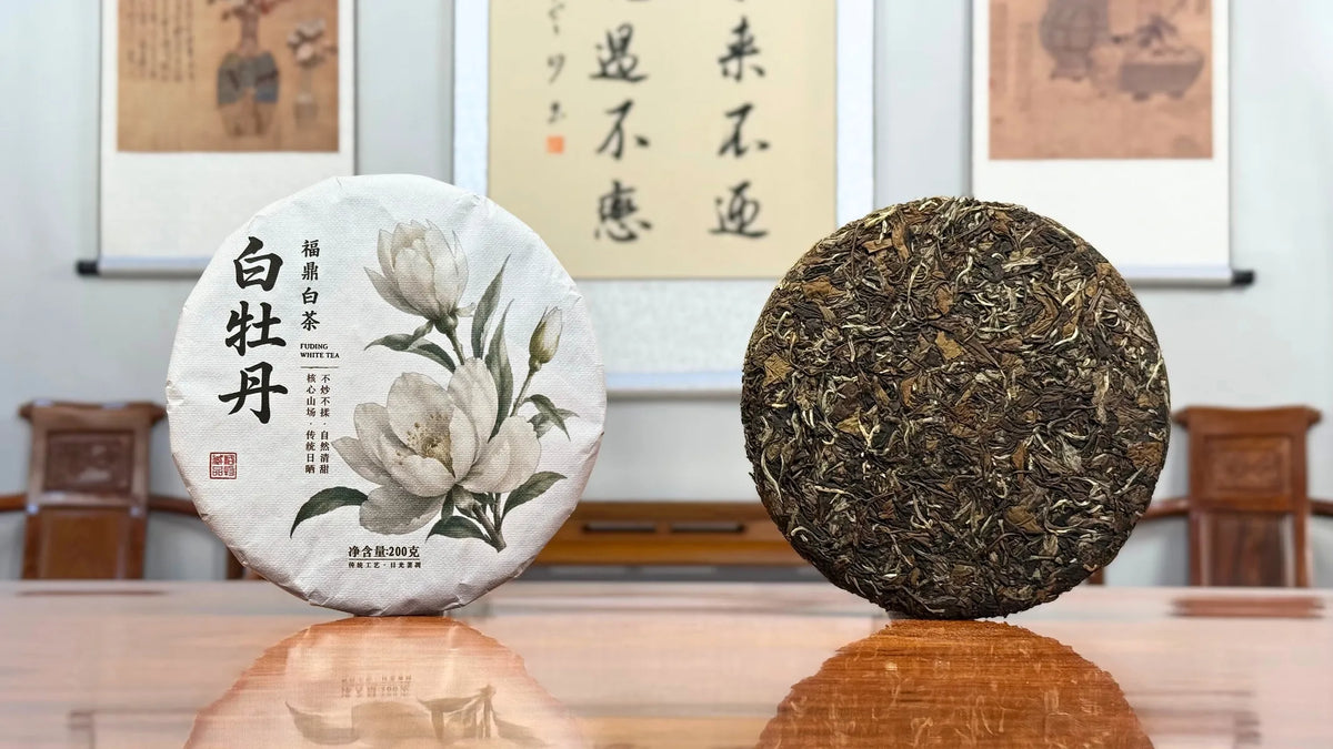 2021 Fuding Bai Mu Dan White Tea Cake (White Peony) in a traditional Chinese tea house