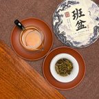 2022 Ban Pen Ancient Tree Raw Pu-erh Tea Cake with bright tea liquor and brewed leaves