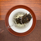2023 Da Xue Shan Ancient Tree Raw Pu-erh Tea Cake brewing method demonstration