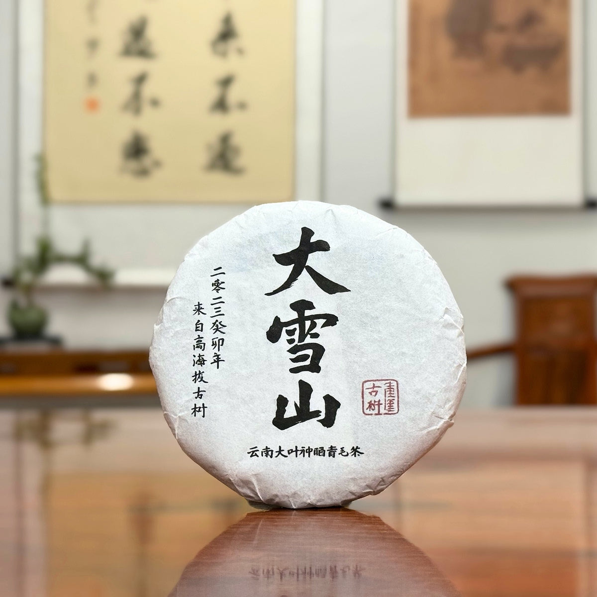 2023 Da Xue Shan Ancient Tree Raw Pu-erh Tea Cake with traditional tea packaging display