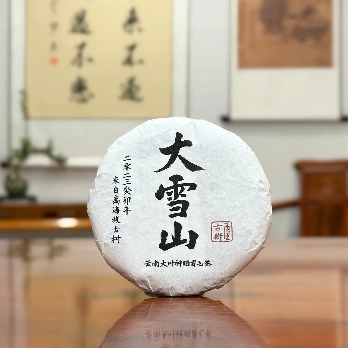 2023 Da Xue Shan Ancient Tree Raw Pu-erh Tea Cake with traditional tea packaging display