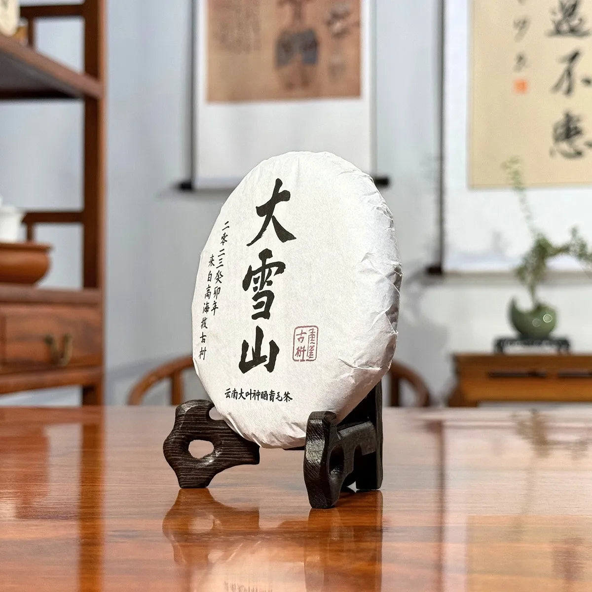 2023 Da Xue Shan Ancient Tree Raw Pu-erh Tea Cake side view displayed in a Chinese tea house