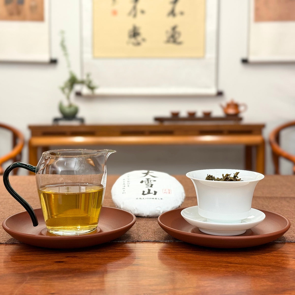 2023 Da Xue Shan Ancient Tree Raw Pu-erh Tea Cake with tea liquor and cake display