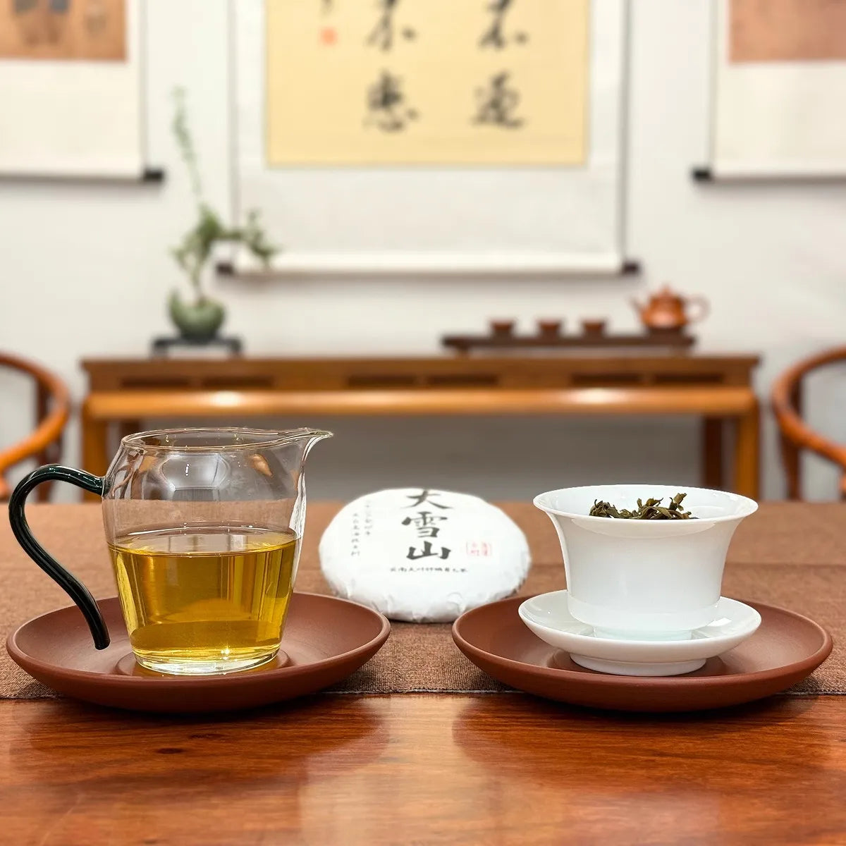 2023 Da Xue Shan Ancient Tree Raw Pu-erh Tea Cake with tea liquor and cake display