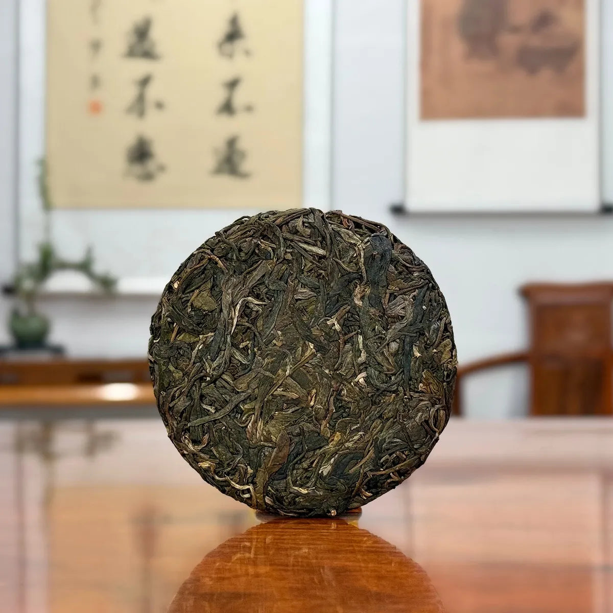 2023 Da Xue Shan Ancient Tree Raw Pu-erh Tea Cake from Yunnan tea region