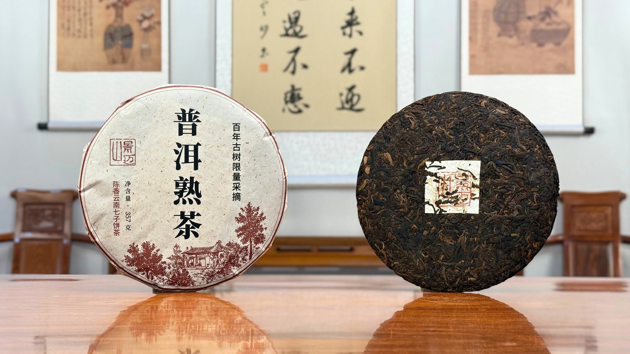 2023 Jingmai Mountain Ancient Tree Ripe Pu-erh Tea Cake (Shou) displayed in Chinese Tea Group tea house