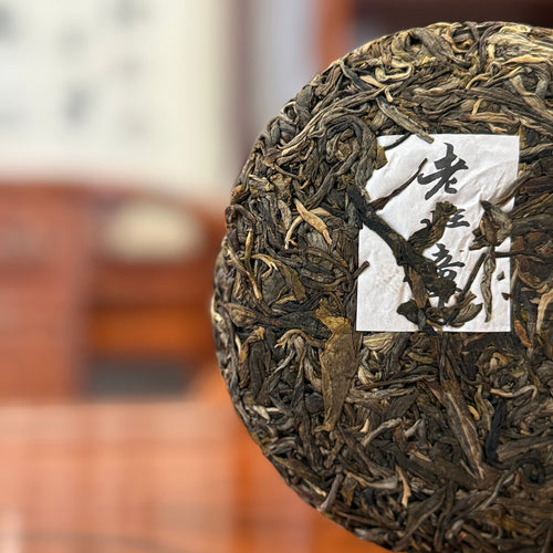 2023 Single Tree Lao Ban Zhang Raw Pu-erh Tea Cake – Buy Online
