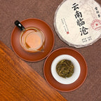 2024 Lin Cang Ancient Tree Raw Pu-erh Tea Cake with attractive tea liquor and opened brewed leaves.