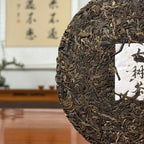 2024 Lin Cang Ancient Tree Raw Pu-erh Tea Cake leaf detail showing thick, well-defined leaves and silver buds.