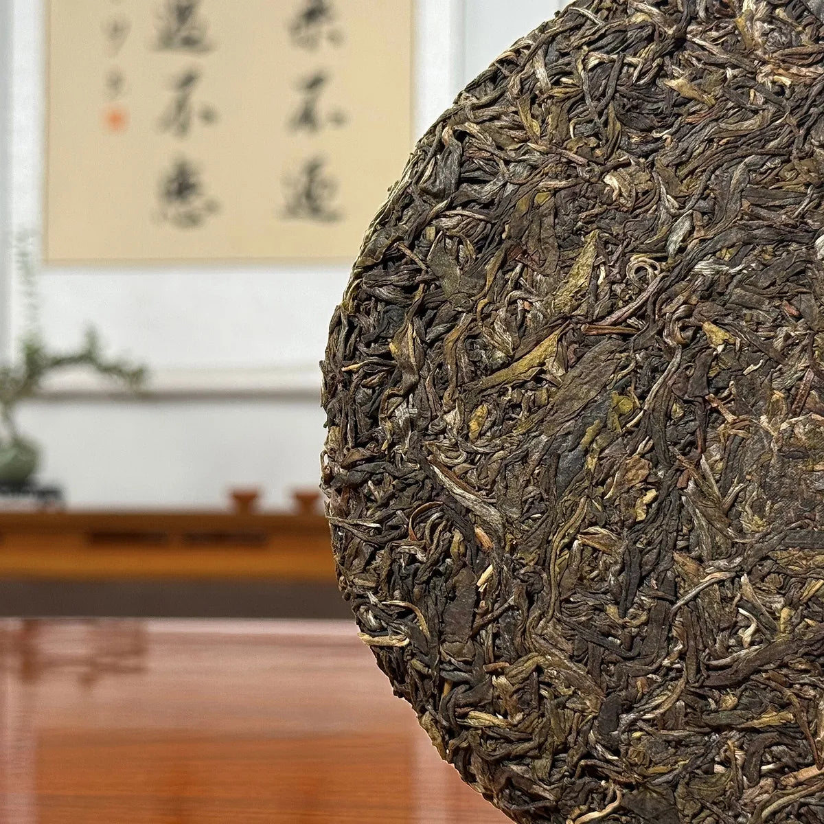 2024 Mei Zi Qing Raw Pu-erh Tea Cake showing detailed leaf texture and tea strands