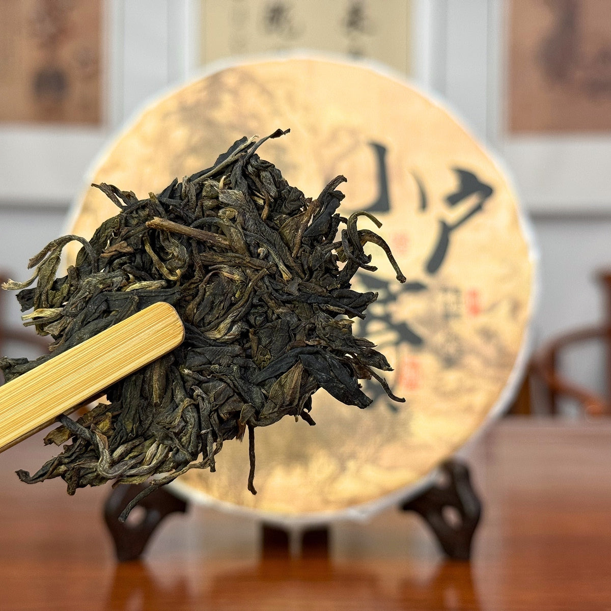 2024 Xiao Hu Sai Raw Pu-erh Tea Cake sample for exploring Stone Soil terroir and mountain sweetness