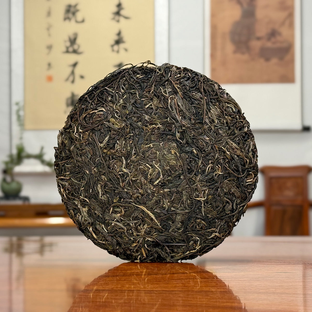 2024 Xiao Hu Sai Raw Pu-erh Tea Cake showing detailed Yunnan tea leaf texture and natural character