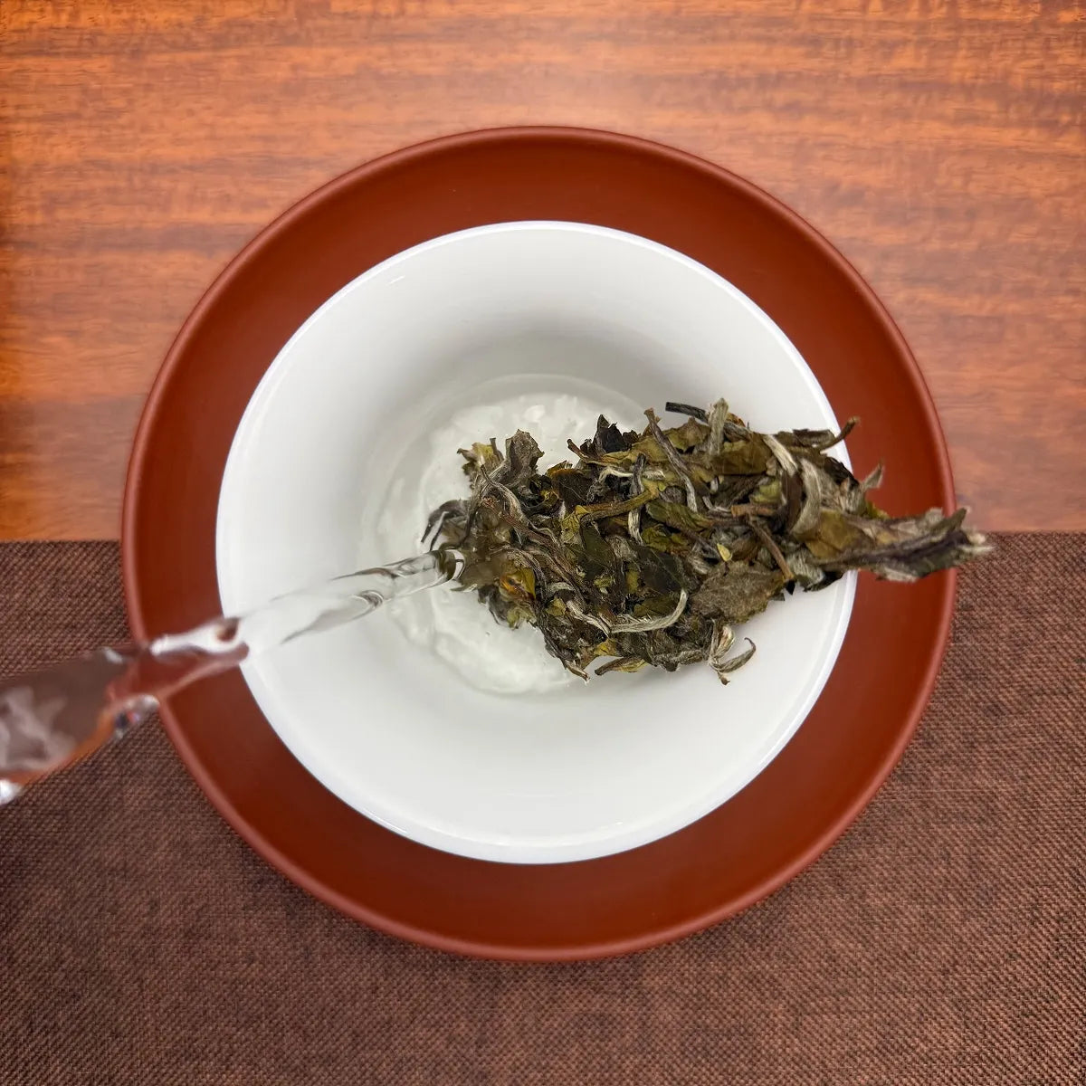 2025 Bai Mu Dan White Tea Cake undergoing traditional Fuding brewing process.