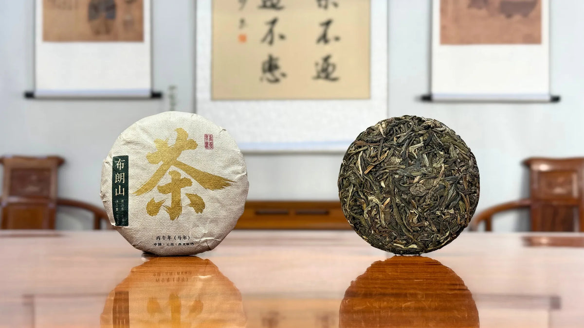 2026 Bulang Mountain Raw Pu-erh Tea Cake displayed in a traditional Chinese tea house