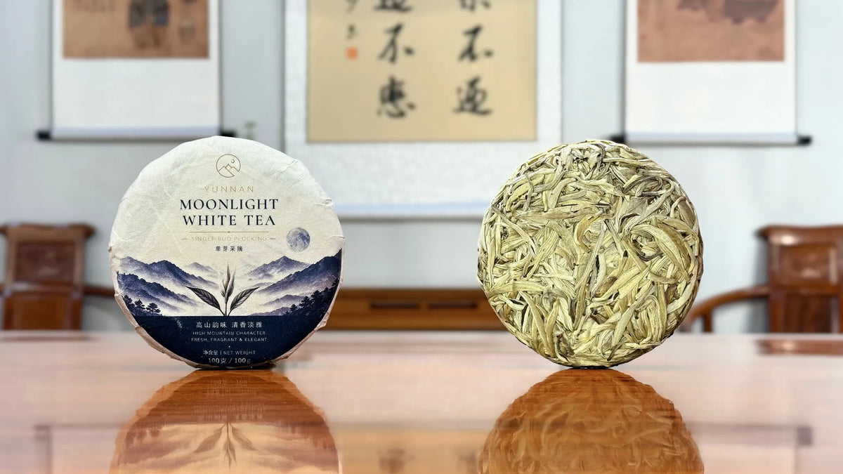 2026 Yunnan Yue Guang Bai White Tea Cake (Moonlight White) displayed in a traditional Chinese tea house