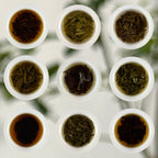 9 Best-Selling Chinese Loose Leaf Tea Sampler – brewing in a traditional tea gaiwan