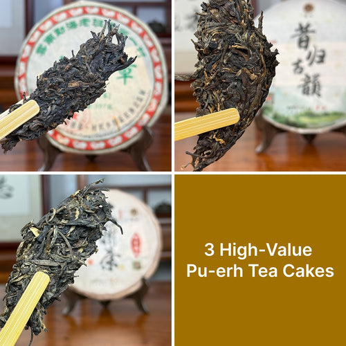 Classic Raw Pu-erh Tea Cake Sampler – Chinese Tea Group