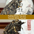 Fuding White Tea and Yunnan White Tea Set by Chinese Tea Group
