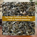 Rich Green Tea Sampler – Chinese Tea Group