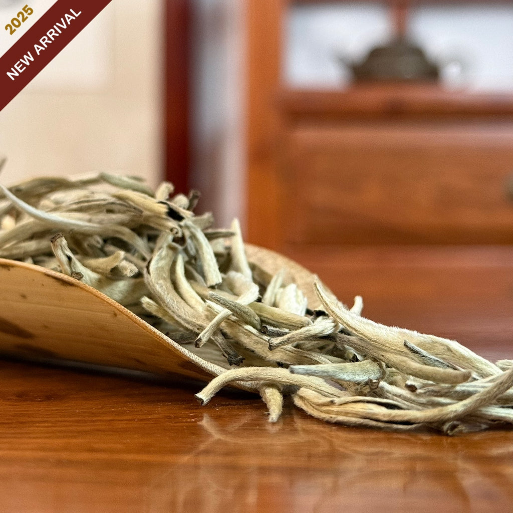 Bai Hao Yin Zhen White Tea (Silver Needle) dry leaves close-up in Chinese Tea Group authentic tea store