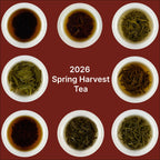 Brewed black and green tea sampler from Chinese Tea Group showing liquor colors of eight varieties in cups