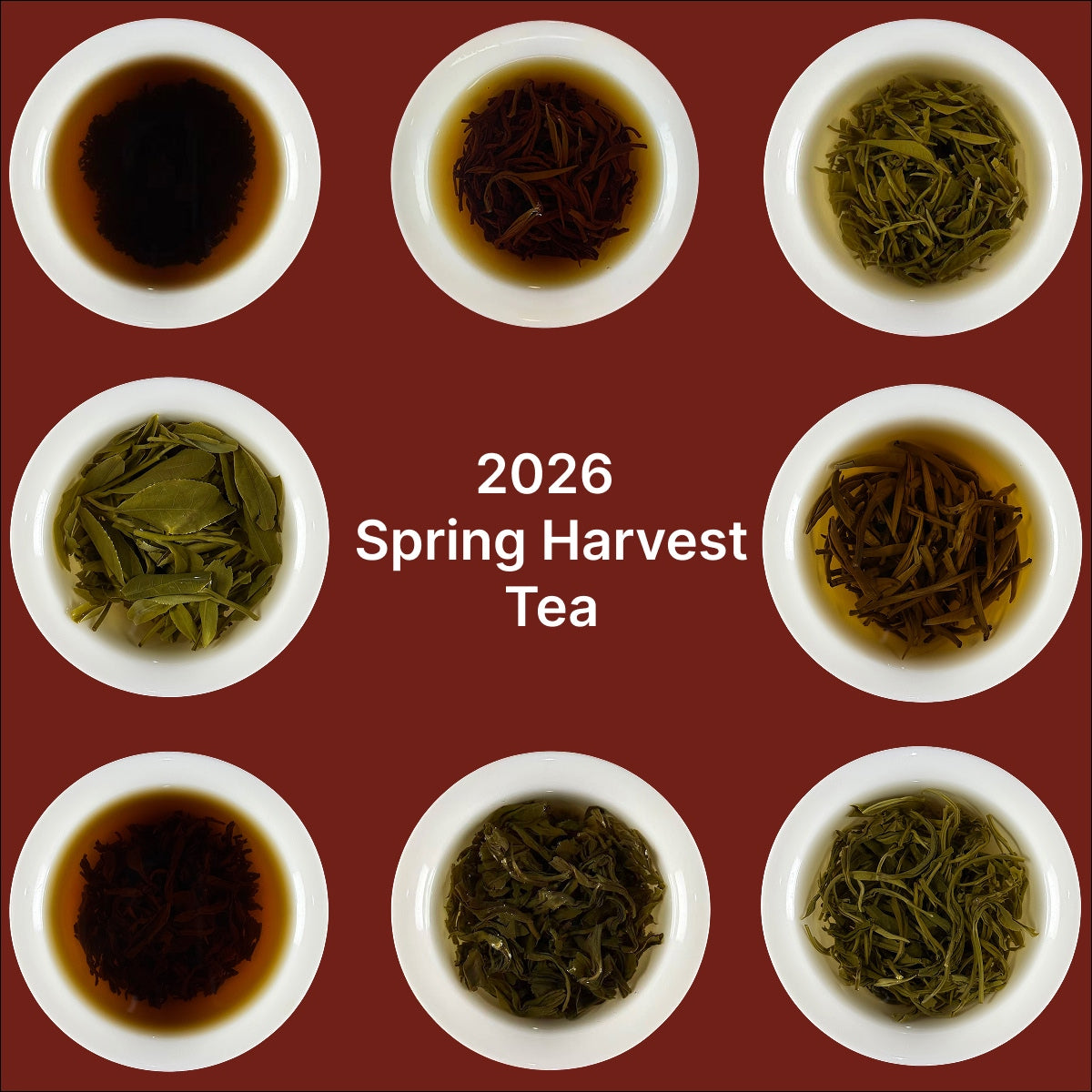 Brewed black and green tea sampler from Chinese Tea Group showing liquor colors of eight varieties in cups