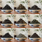Chinese Tea Sampler – Summer 2025 by Chinese Tea Group